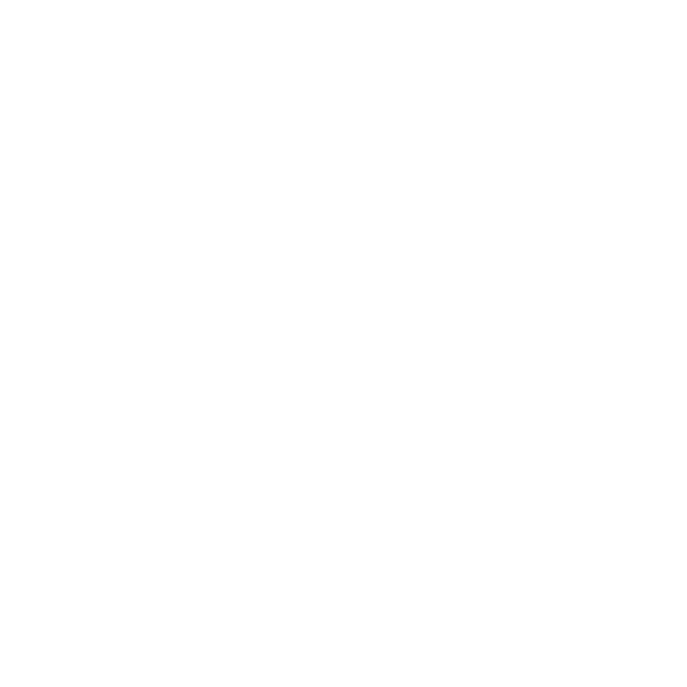 Vi har laerling